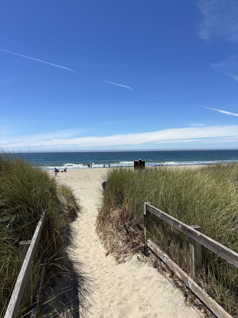 At The Dunes-Shorebirds 003-image-1