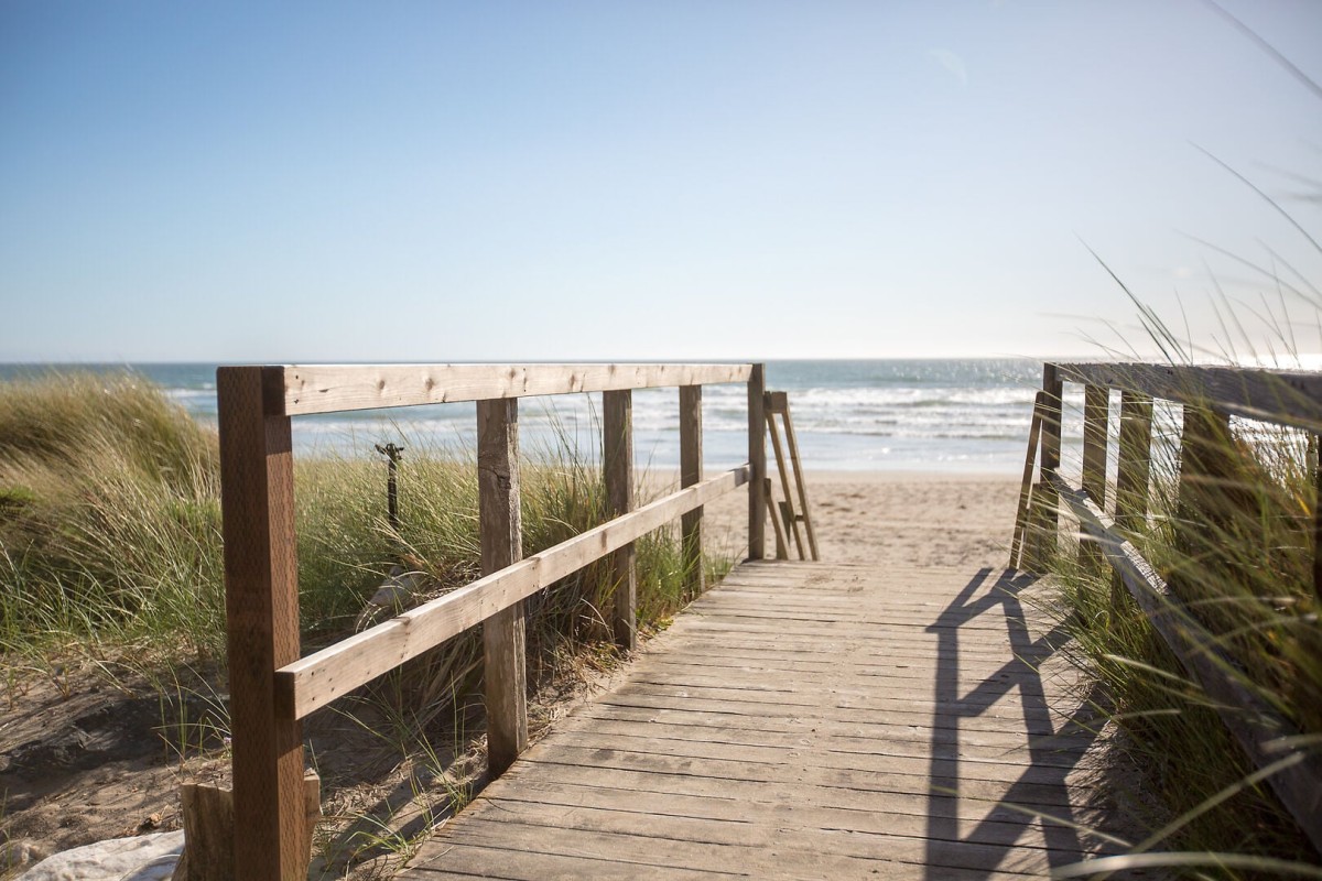 At The Dunes-Shorebirds 245-image-1